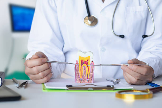 Best Emergency Dentist for Lost Fillings or Crowns in Chillicothe, OH